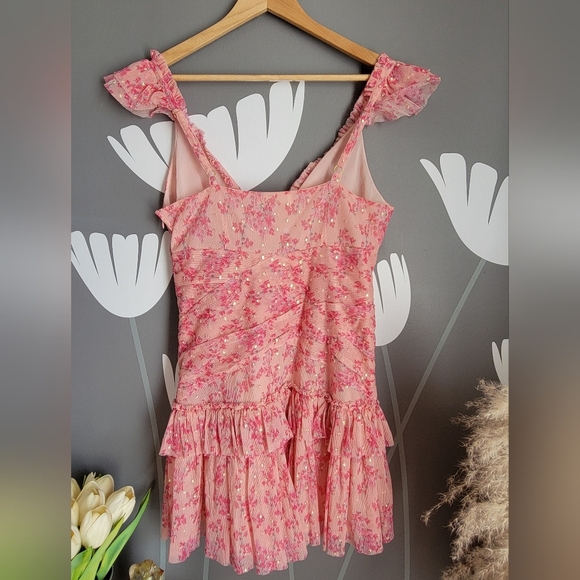 NWT LoveShackFancy Roey Mini Ruffle Dress Size 8 Autumn Rose - Picture 2 of 13